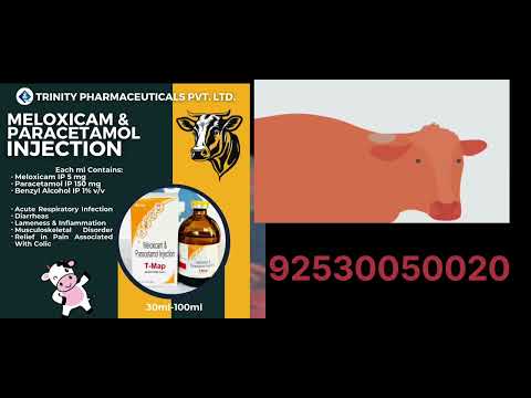 Trinity Pharmacuticals 100ml Meloxicam Injection