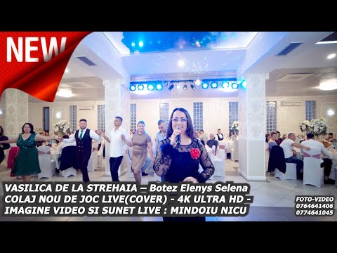 Vasilica de la Strehaia - Colaj de Petrecere 2025 Live - Cele Mai Iubite Cântece de Muzică Populară