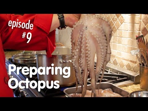 download lagu mp3 mp4 How To Make An Octopus, download lagu How To Make An Octopus gratis, unduh video klip How To Make An Octopus