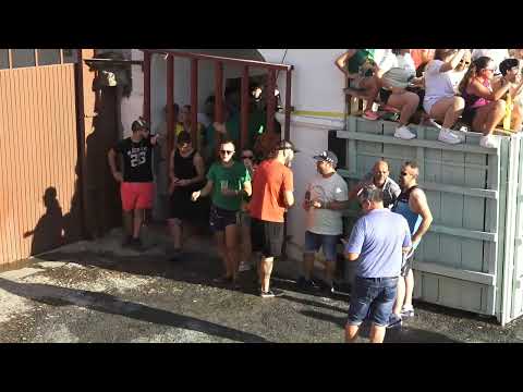 Festejos taurinos en directo