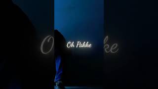 DO YOU REMEMBER JORDAN SANDHU STATUS Video