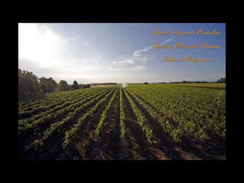 Società Agricola Bertolini