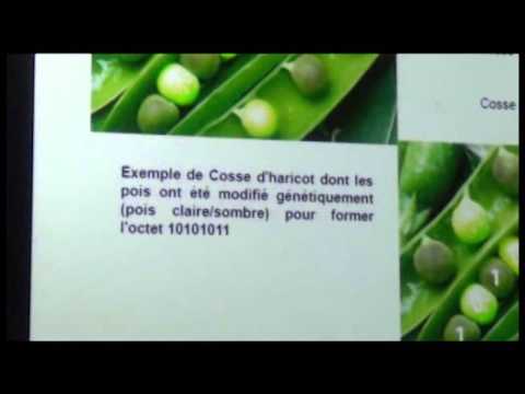 Vignette vidéo 3