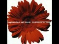 Vigilantes Of Love - 9 - Happy Being Lonely, Lonely Being Happy - Summershine (2001)