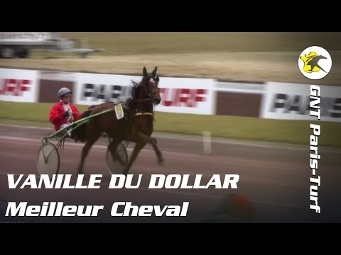 GNT Paris-Turf 2016 - VANILLE DU DOLLAR - Meilleur Cheval