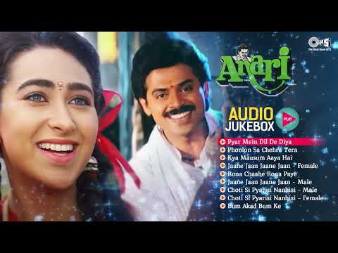 Anari Movie All Songs | Bollywood 90's Hits | Karisma Kapoor | Venkatesh Hits | Alka Yagnik, Kumar S