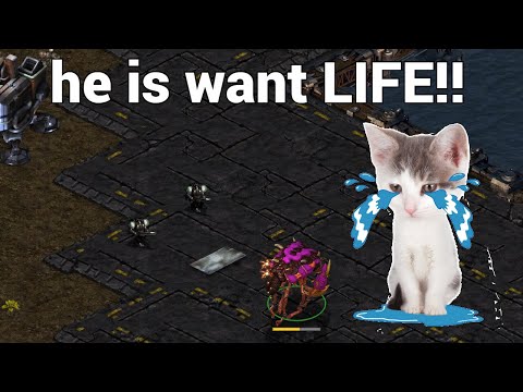 StarCraft 1: Poor Overlord... T_T - soso vs ZeLoT | CNSL 6