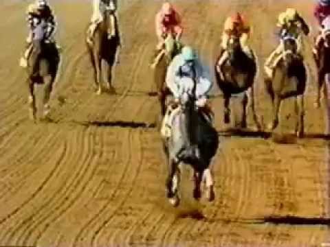 PRINCESS ROONEY con Eddie Delahoussaye Breeder's Cup Distaff 1984...!!!