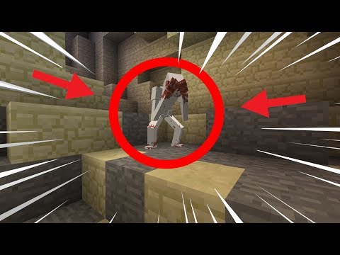 SCP-096 TROVATO in MINECRAFT !!! *REALM VANILLA*