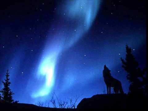 subsonar- voice from the wilderness.wmv