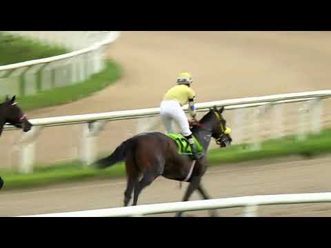 211023 c07 - ESCANDILAZA  - HIPODROMO LAS PIEDRAS - PREMIO: ALCHI - COPA INTENDENCIA DE CANELONES