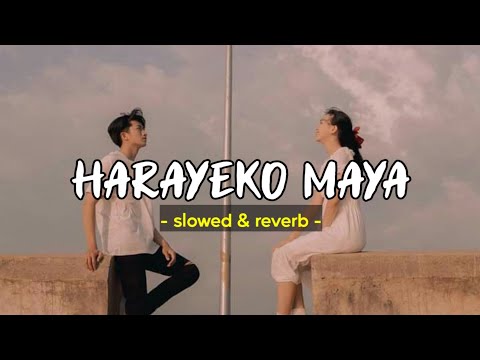 Harayeko Maya - ShreeGo (slowed and reverb)