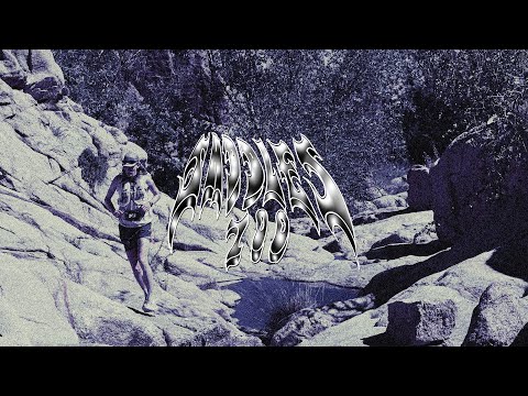 Saddles 100 -  Endurance, carried through the desert.