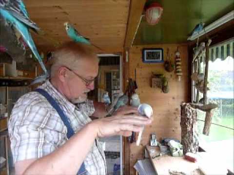 2011 07 31 Der Wellispielfilm für den heutigen Tag.wmv