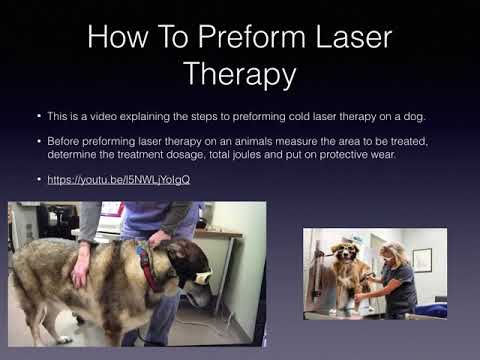 Laser/Ultrasound Therapy Presentation