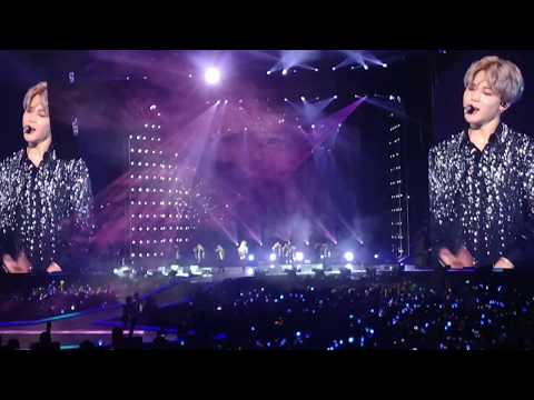 BTS ( Jimin ) | Serendipity | Love Yourself World Tour live in Amsterdam | 181013