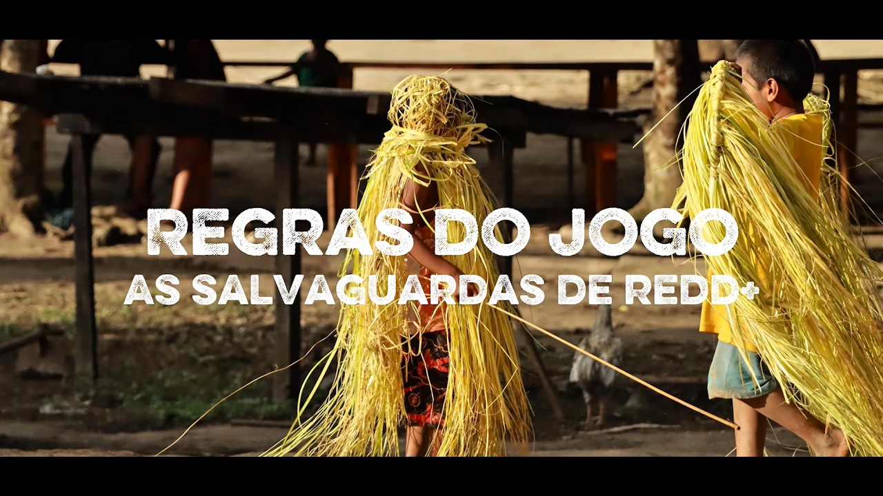 Regras do Jogo: as salvaguardas do REDD+