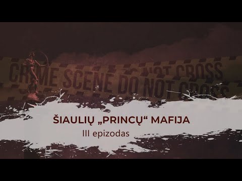 ŠIAULIŲ "PRINCŲ" MAFIJA - III - KRIMINALINĖ LIETUVOS ZONA su Dailiumi Dargiu - 6