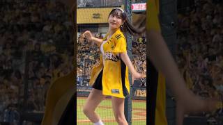 #邊荷律#변하율#詹子賢#PassionSisters#台湾チアリーディングチーム#cpbl 中華職棒#CPBL#洲際棒球場#20240817火影主題日