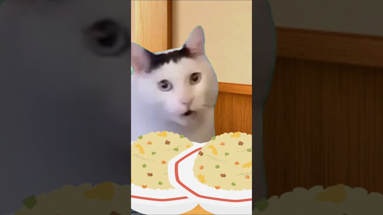 何も聞いてない店員と客（音源お借りしました）