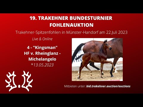4 - Kingsman - HF v. Rheinglanz - Michelangelo *13.05.2023