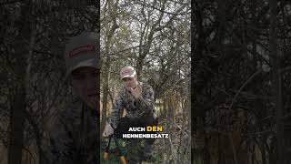 Wildkamera-Tipps: Hennen-Population im Blick! Versteckt im Dickicht! #shorts