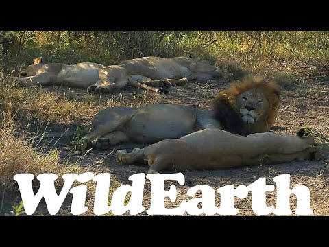 What are you looking at?