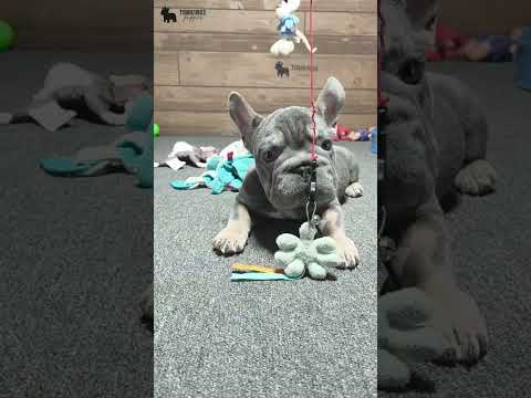 Video 2