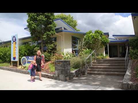 SOLD - 59 Daffodil Street, Titirangi - Sacha Collins and Brigid O'Connor