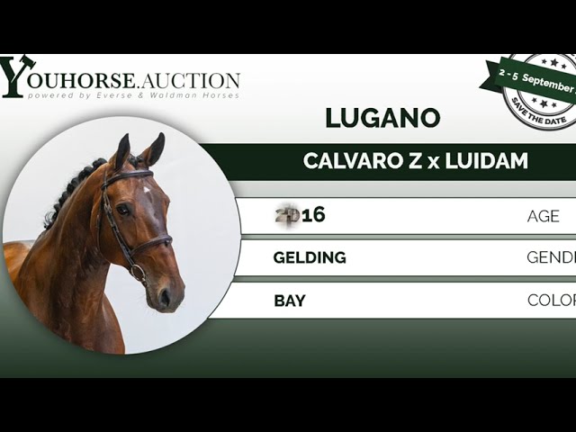 Lugano @ show