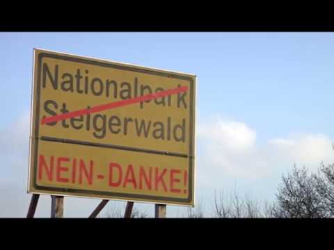 Markus Söder in Zeil am Main: Steigerwald wird kein Nationalpark