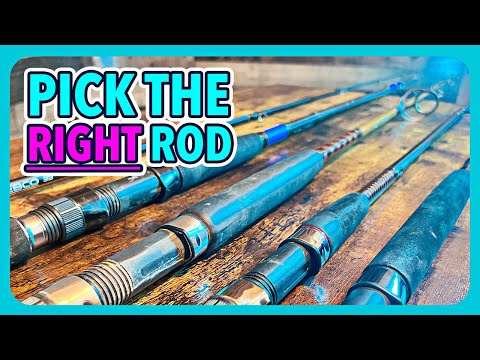 How to Choose a Fishing Rod (Beginner's Guide)