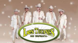 Amor Compartido - Los Tucanes De Tijuana (serge djbcmx)