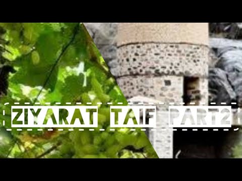 Taif's Hidden Gem: #Exploring the Grape Gardens & Prophet Muhammad PBUH's Journey#ziarahtaif