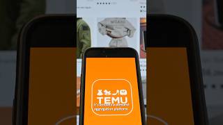 How is Temu so cheap?