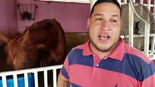 Emanuel R. enfrenta a Mishegas por primera vez