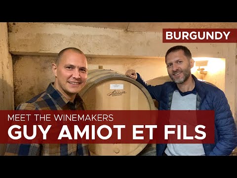 Meet the winemakers in Burgundy: Fabrice Amiot from Domaine Guy Amiot et Fils