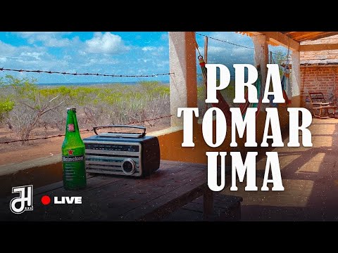 VOLTANDO NO TEMPO - FORRÓ DAS ANTIGAS - AO VIVO - Magníficos, Limão Com Mel, Mastruz Com Leite