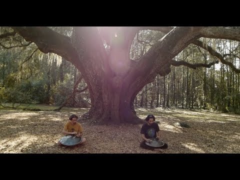 Firefly - Handpan Duet - Peter Levitov and Maxime le Royer