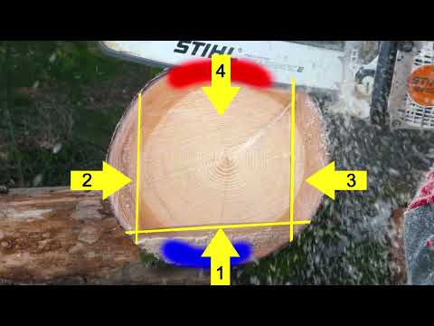 Baumfällen, gewusst wie: Trennschnitte (Part 6/9) – Der Offene Kreisschnitt