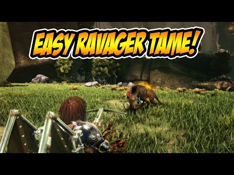EASY way to tame ENTIRE pack of Ravagers - ARK Aberration
