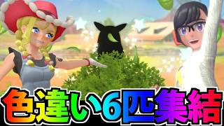 【色違い対戦】ついにスカウト産の色違いが6匹揃ったので パーティ組んで対戦してみた【ポケモンチャンピオンズ】