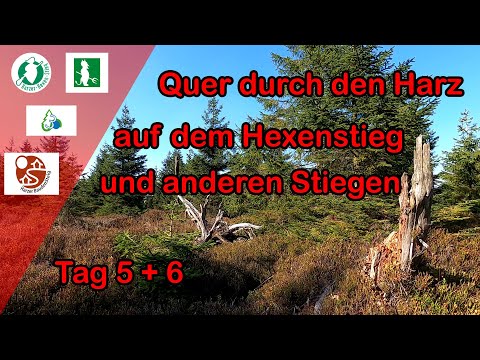 Harzer Hexenstieg und andere Stiege - Tag 5+6 - Quer durch den Harz