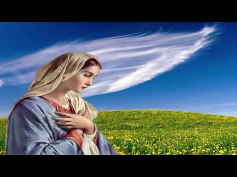 Tình trời thế đó Sheet - Unknown