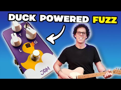 Don't let the Cute Duck Fool You | Jam Pedals Eureka! Fuzz Review