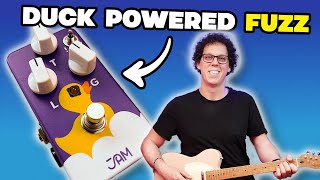 Video thumbnail for Don't let the Cute Duck Fool You | Jam Pedals Eureka! Fuzz Review by TheGuitarGeek