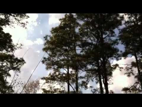 Sumerville SC. March 27-31 2013 Wet and Stormy Pattern