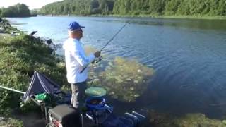 Фидерное удилище fireblood feeder shimano