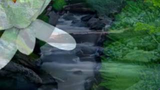 ☺☺☺ Paul Piché  ( Car je t&#39;aime )  MP3