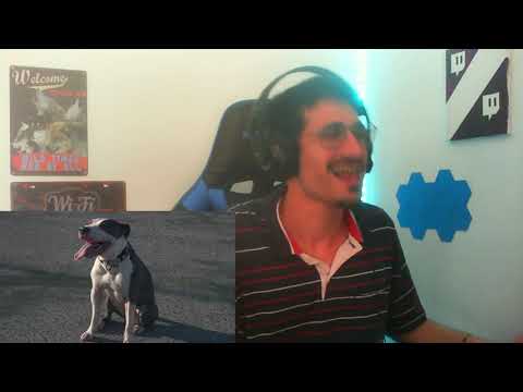 REACT SCORP X NELASSASSIN - FLEX